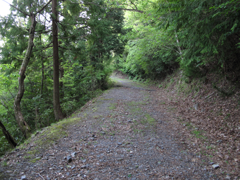 20140502hike (422)